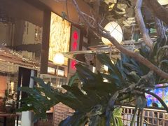 -桂满陇·海市蜃楼·黑金(国金店)