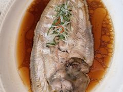 清蒸圆头鱼-启东海鲜人家(古美路店)