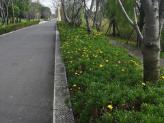 -长田漾湿地公园