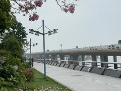 -演武大桥观景平台