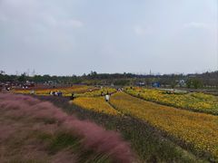 -上海滨江森林公园