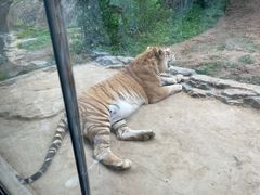 -杭州野生动物世界