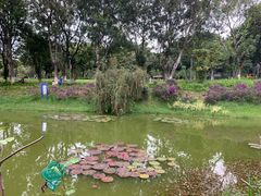 -东莞植物园