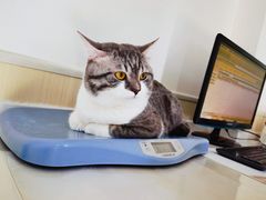 -佳怡动物医院·平价24小时·猫专科骨外科