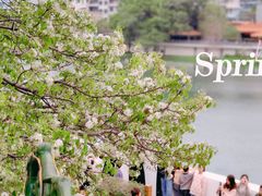 -中山公园