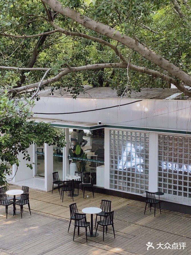 ▪️佛山探店|啡瘾患者推介A+srilanka☕️