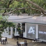 ▪️佛山探店|啡瘾患者推介A+srilanka☕️