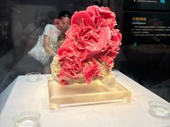 -湖南省地质博物馆