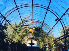 -The Grounds of Alexandria