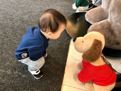 -济州岛泰迪熊博物馆