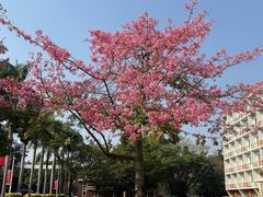 -广东金融学院(校本部)