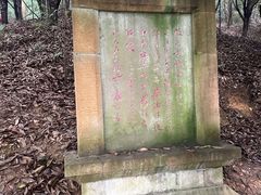 -缙云山景区
