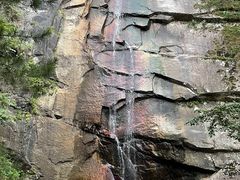 -内乡宝天曼生态旅游区