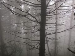 -白草畔自然风景区