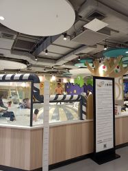 -meland亲子乐园•活动包场(佛山新DNA购物中心店)