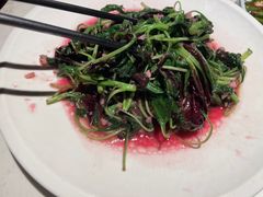 -院8里·小聚园(九眼桥店)