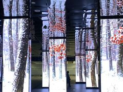 -中国湿地博物馆