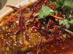 -杨氏青龙虾·羊蝎子(珠江路店)