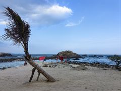 -蜈支洲岛珊瑚酒店临海阁中餐厅