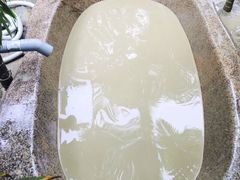-100蛋泥浆浴