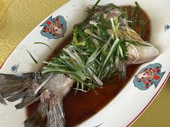 -雪湖煜辰鱼头老店(雪野湖店)