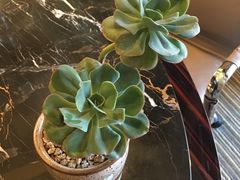 -碧桂园凤凰城酒店(南京店)