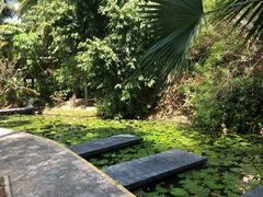 -三亚凤凰水城凯莱度假酒店