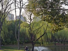 -新天世纪中餐厅