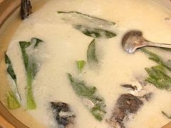 -魁鱼馆·千岛湖金陵山水啤酒温泉酒店