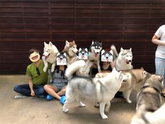 -TrueLove @ Neverland (Husky Cafe)