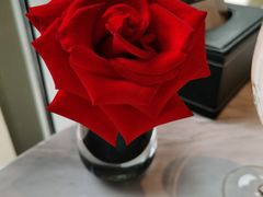 -香樟花园新粤料理(无锡万象城店)