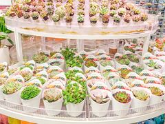 -KKV(深圳kk one 店)