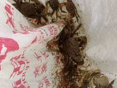 -吴淞炮台湾湿地森林公园烧烤区