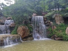 -广州市帽峰山景区
