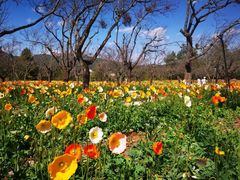 -名花谷生态庄园