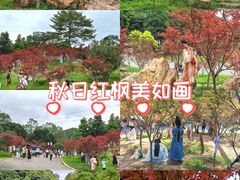-广州市帽峰山景区
