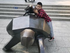 -广东惠东海龟国家级自然保护区