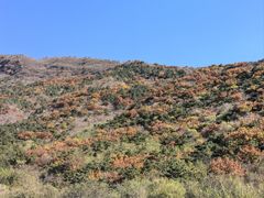 -北京十三陵国家森林公园蟒山景区