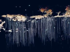 -怀托摩萤火虫洞