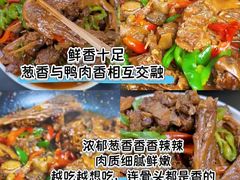 -郴州特产舜华临武鸭(郴州西站店)