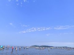 -仙人岛