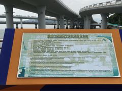 -演武大桥观景平台