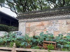 -上海醉白池公园