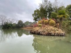 -西溪国家湿地公园