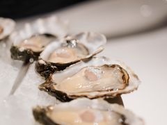 -Oyster Talks 四度蚝法餐厅