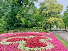 -上海共青森林公园