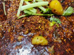 -温江公平红烧兔(总店)