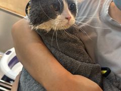 -PETKIT小佩宠物·低压洗护(国顺东路店)