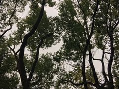 -徐家汇源景区-衡山公园