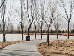 -东郊湿地公园